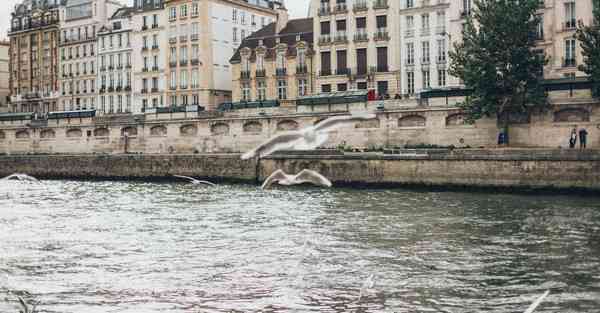 与人工智能有关的机器人