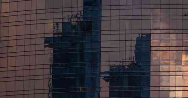 蝴蝶翅膀大数据（蝴蝶翅膀是什么样子）