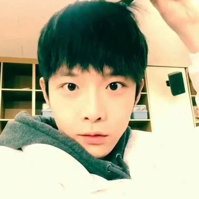 终燕平清