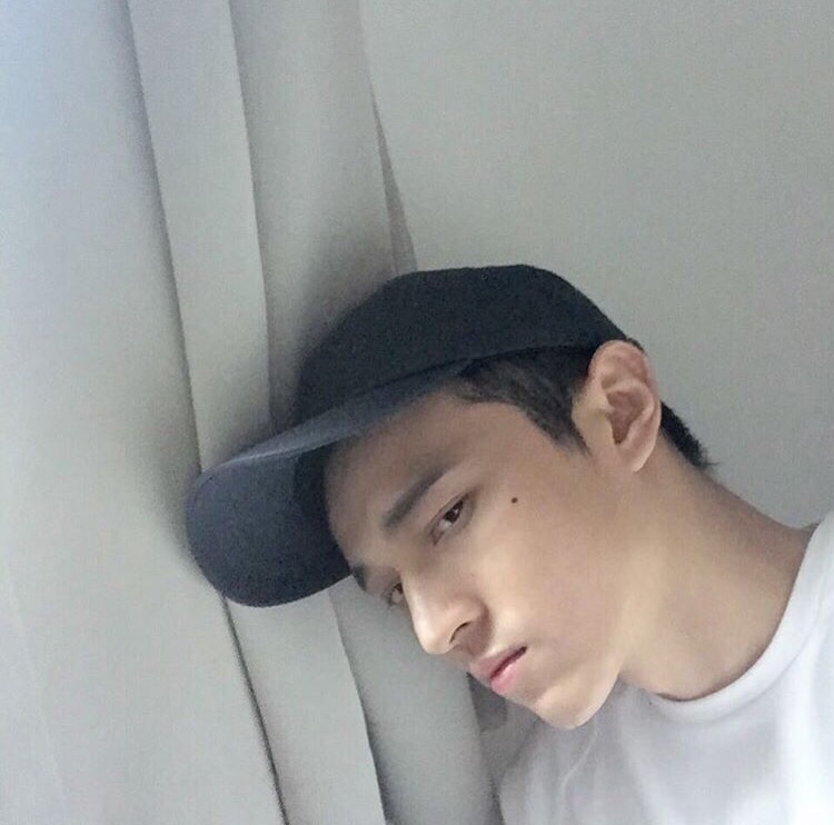 荆之会素