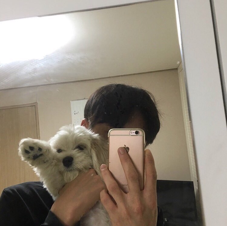 殷功蓝宇