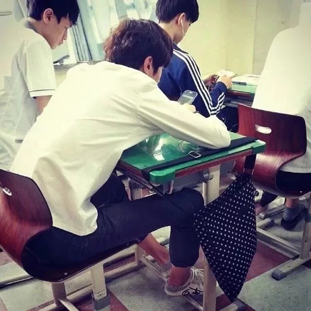 梁云栋树