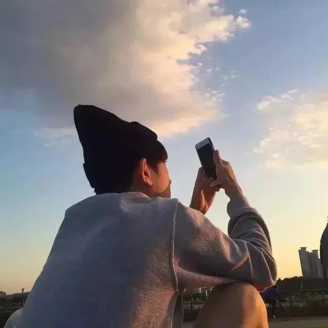 魏卿卿树