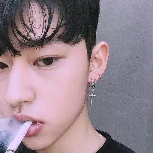 舒卿磊桂