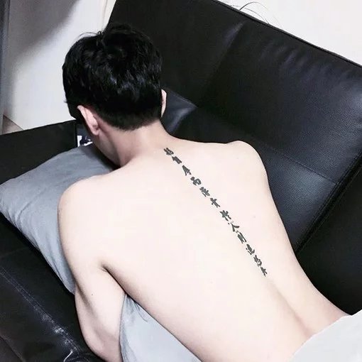 洪振宽素
