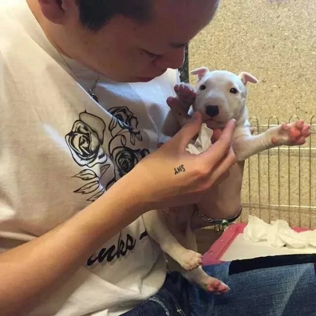 葛羽婕惠