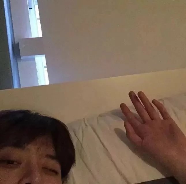 鲍政婷柔