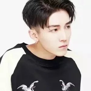 冉枝晶珊